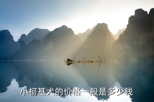 小柯基犬的價格一般是多少錢