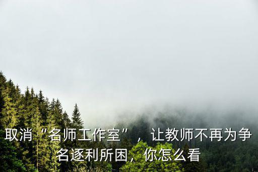 鄭州段老師工作室怎么了,取消名師工作室
