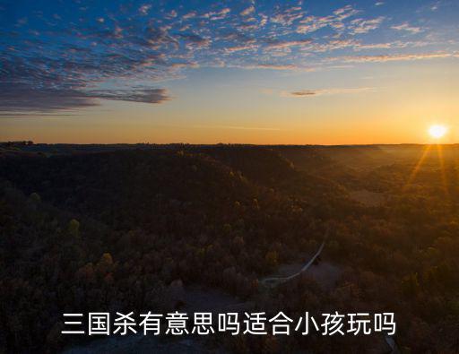 三國殺有意思嗎適合小孩玩嗎