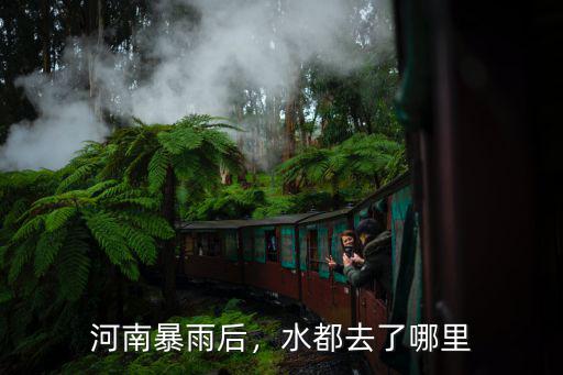 河南暴雨后，水都去了哪里