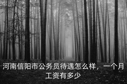 信陽市政府人員工資待遇怎么樣,河南信陽市公務(wù)員待遇怎么樣
