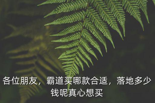 周口哪里買霸道,霸道買哪款合適