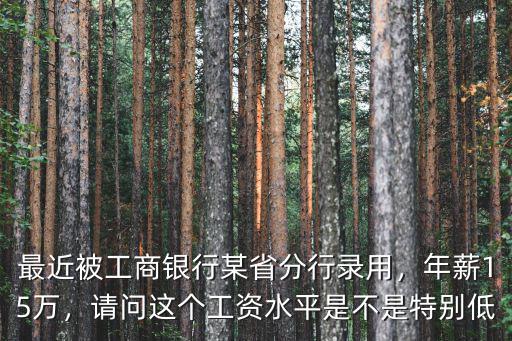 工商銀行河南省分行待遇怎么樣,最近被工商銀行某省分行錄用