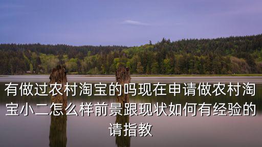 有做過農村淘寶的嗎現在申請做農村淘寶小二怎么樣前景跟現狀如何有經驗的請指教