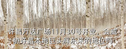 許昌科技廣場怎么樣,許昌學院怎么樣