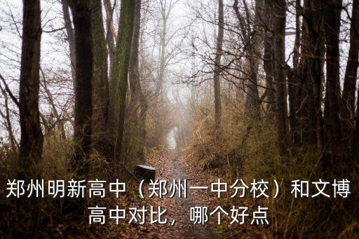 鄭州明新高中（鄭州一中分校）和文博高中對比，哪個好點