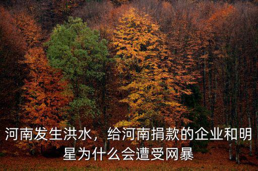 河南發生洪水，給河南捐款的企業和明星為什么會遭受網暴