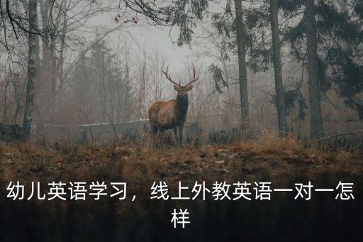 幼兒英語學習，線上外教英語一對一怎樣