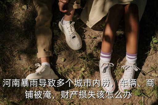 河南暴雨導(dǎo)致多個城市內(nèi)澇，車輛、商鋪被淹，財產(chǎn)損失該怎么辦