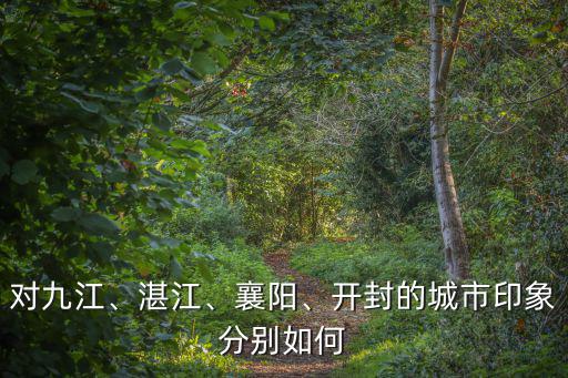 對九江、湛江、襄陽、開封的城市印象分別如何