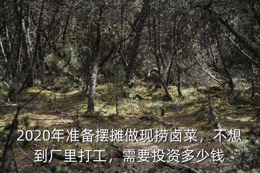 2020年準備擺攤做現撈鹵菜，不想到廠里打工，需要投資多少錢