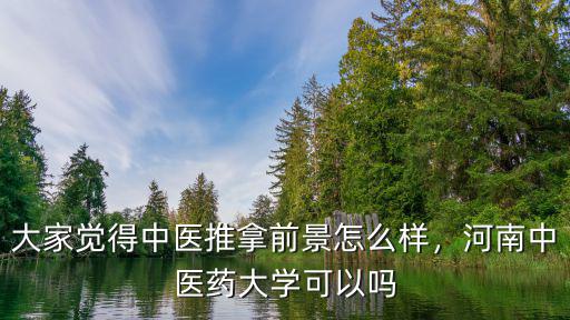 大家覺得中醫(yī)推拿前景怎么樣，河南中醫(yī)藥大學(xué)可以嗎