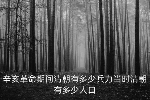 辛亥革命期間清朝有多少兵力當(dāng)時(shí)清朝有多少人口