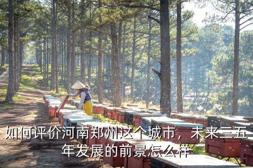 如何評價河南鄭州這個城市，未來三五年發(fā)展的前景怎么樣