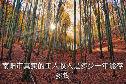 南陽市20年工齡能拿多少錢,南陽市真實的工人收入是多少