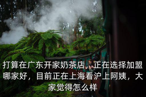 打算在廣東開家奶茶店，正在選擇加盟哪家好，目前正在上海看滬上阿姨，大家覺得怎么樣