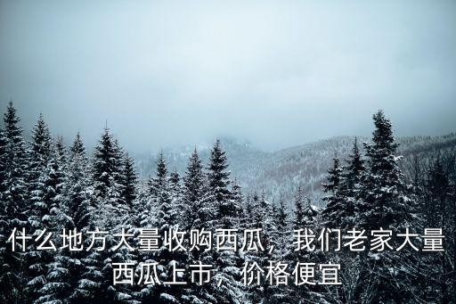 河南哪里西瓜賣不掉,河南西瓜走不出省