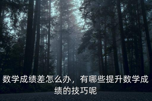 數學成績差怎么辦，有哪些提升數學成績的技巧呢