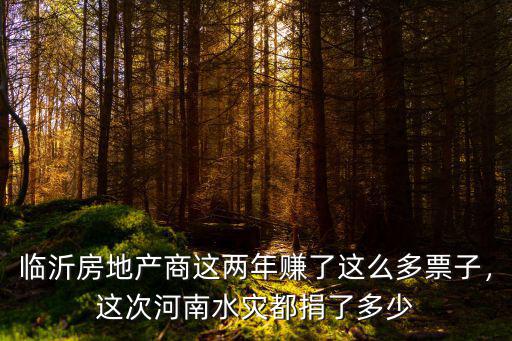 臨沂房地產商這兩年賺了這么多票子，這次河南水災都捐了多少