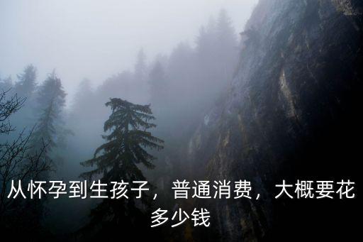 三門峽生個孩子要花多少錢,大概要花多少錢