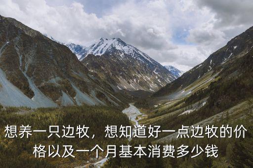 想養一只邊牧，想知道好一點邊牧的價格以及一個月基本消費多少錢