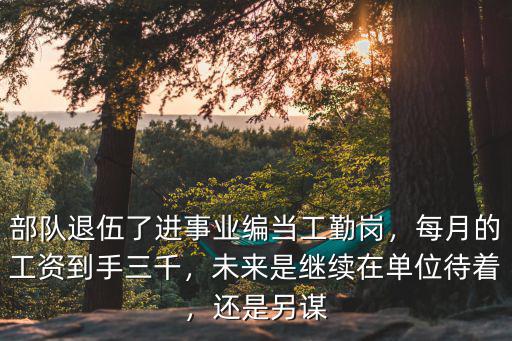 部隊退伍了進事業編當工勤崗，每月的工資到手三千，未來是繼續在單位待著，還是另謀
