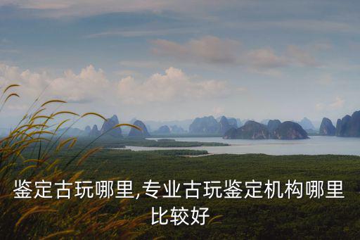 洛陽鑒定古玩哪里,專業(yè)古玩鑒定機(jī)構(gòu)哪里比較好