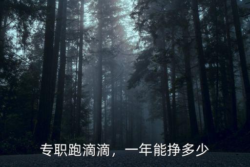 專職跑滴滴，一年能掙多少