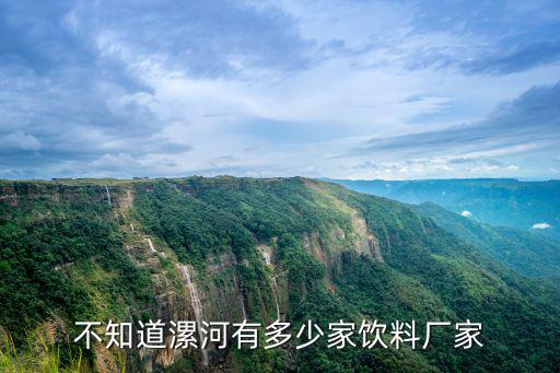 漯河市有多少公司,不知道漯河有多少家飲料廠家