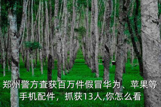 鄭州警方査獲百萬件假冒華為、蘋果等手機配件，抓獲13人,你怎么看