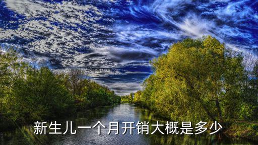 新生兒一個月開銷大概是多少
