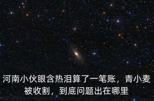 河南小伙眼含熱淚算了一筆賬，青小麥被收割，到底問題出在哪里