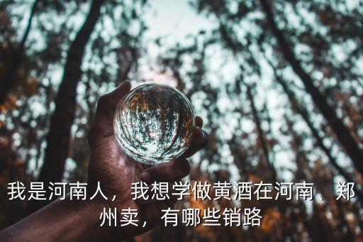 河南黃酒的價錢是多少,河南特產的酒是什么