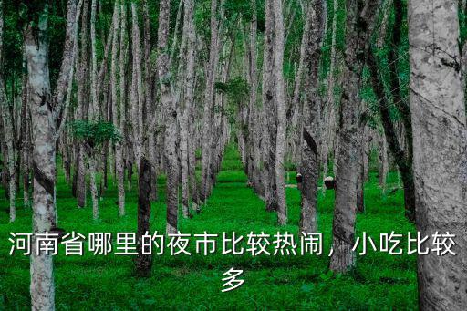 河南省哪里的夜市比較熱鬧，小吃比較多