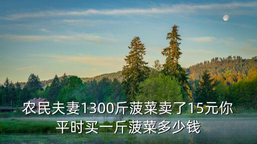 農民夫妻1300斤菠菜賣了15元你平時買一斤菠菜多少錢