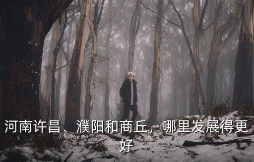 河南許昌、濮陽和商丘，哪里發(fā)展得更好