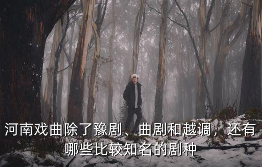 河南戲曲除了豫劇、曲劇和越調，還有哪些比較知名的劇種
