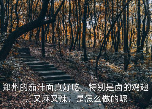 鄭州哪里的素雞好吃,鄭州的茄汁面真好吃
