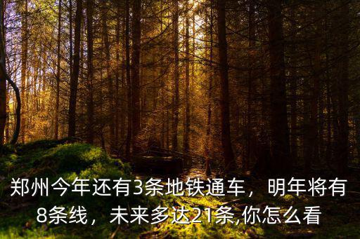 鄭州今年還有3條地鐵通車，明年將有8條線，未來多達21條,你怎么看