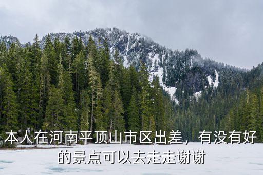 本人在河南平頂山市區(qū)出差，有沒有好的景點(diǎn)可以去走走謝謝