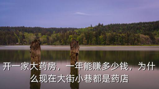 洛陽開一家大藥房怎么樣,開一家大藥房