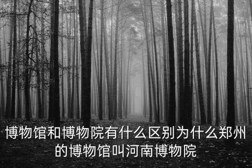 河南博物館有多少展覽品,博物館和博物院有什么區別