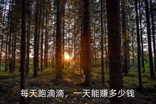 每天跑滴滴，一天能賺多少錢