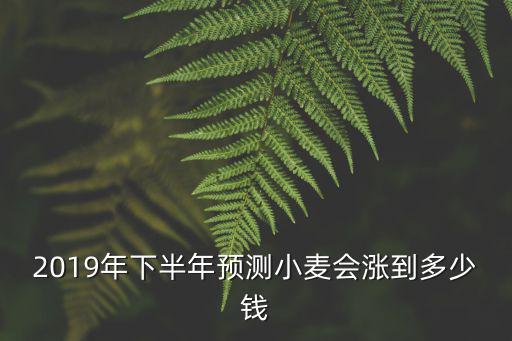 2019年下半年預(yù)測小麥會漲到多少錢