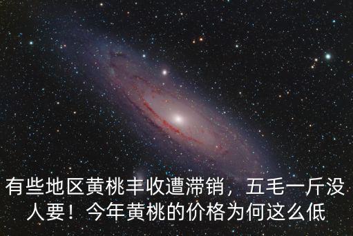 河南市場黃桃一斤多少錢,黃桃的價格現在多少錢一斤