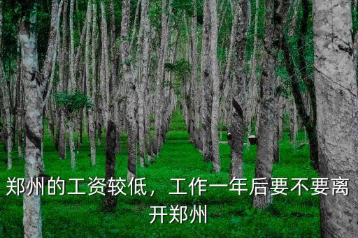 鄭州的工資較低，工作一年后要不要離開鄭州