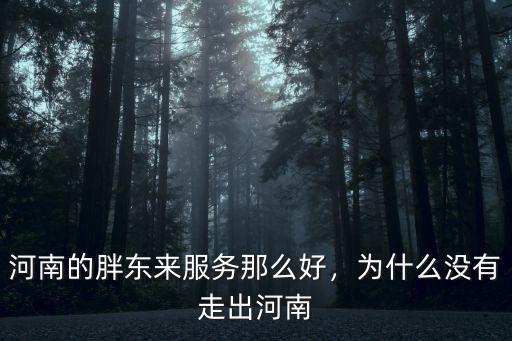 河南的胖東來服務那么好，為什么沒有走出河南