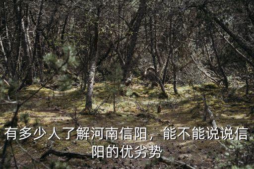 有多少人了解河南信陽，能不能說說信陽的優劣勢