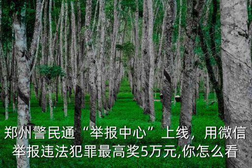 鄭州警民通舉報(bào)記錄怎么查,鄭州警民通舉報(bào)中心上線
