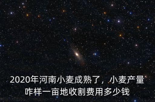 2020年河南小麥成熟了，小麥產量咋樣一畝地收割費用多少錢